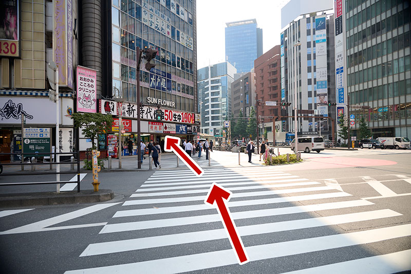 新宿大高架桥十字路口与Sunflower大厦