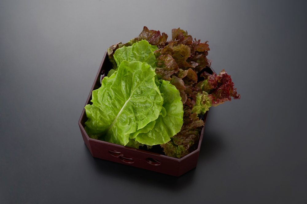 Korean lettuce